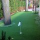 Another side yard two hole golf green