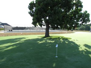 3,000 sq ft golf green for cottage resort