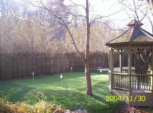 Perfectly shaped 4-hole golf green with fringe turf and landscape turf 